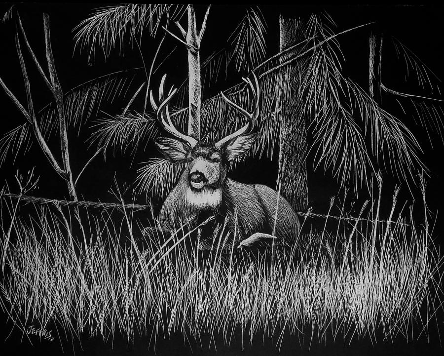 Deer Drawing - Deer in the Woods by Jennifer Jeffris