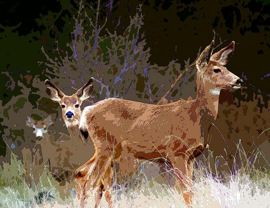 Deer Prudence 2 Photograph by Ben Upham III