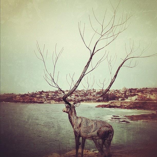 Instagram Photograph - Deer Sculpture by Christopher Chan