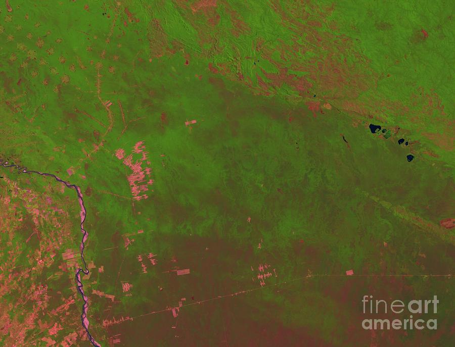 Space Photograph - Deforestation Image 1 Of 2 by NASA / Goddard Space Flight Center