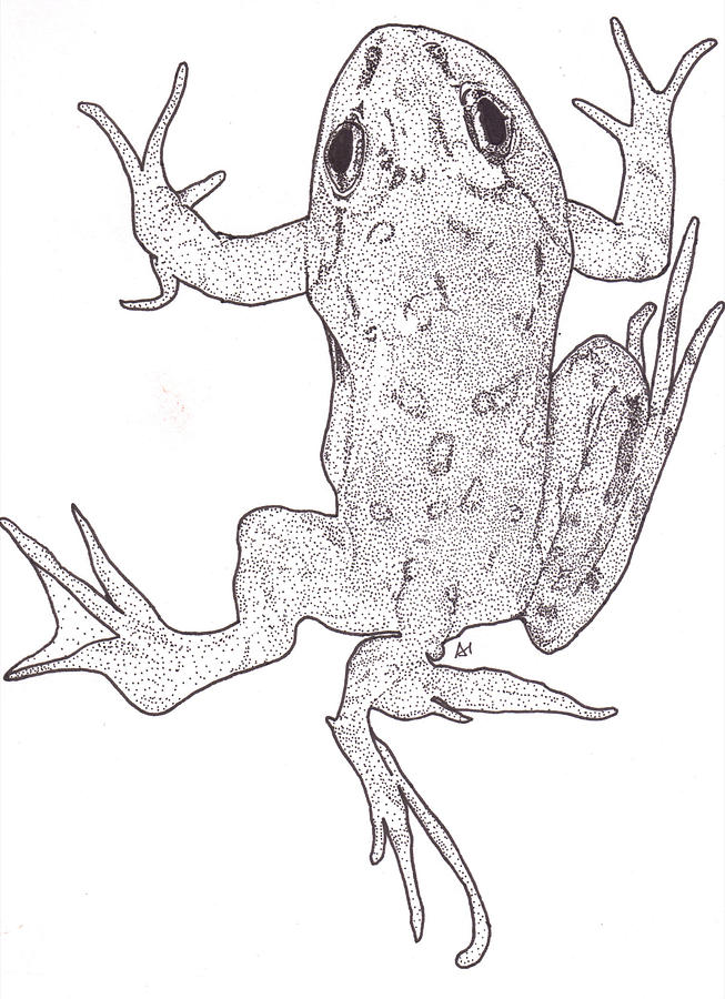 Deformed Frog Drawing by Al Buchanan - Fine Art America