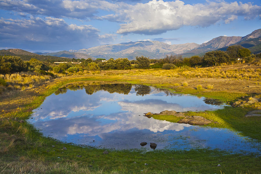 Dehesa, Typical Pasture Of Extremadura Photograph by Gonzalo Azumendi