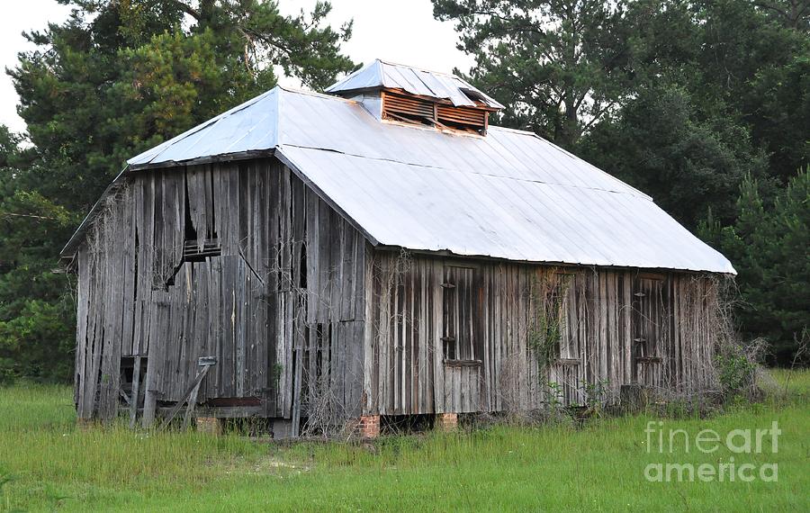 Delapidated Barn Photograph by John Black