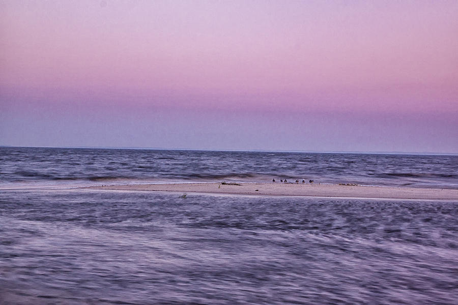Delaware Bay Dawn Photograph by Tom Singleton