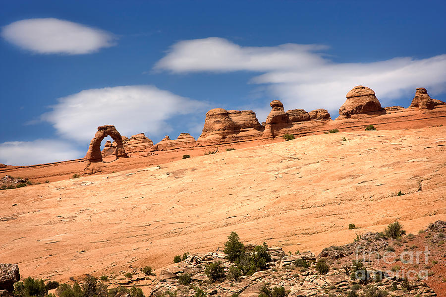 Delicate Arch Famous Landmark In Arches National Park Utah by Louise ...