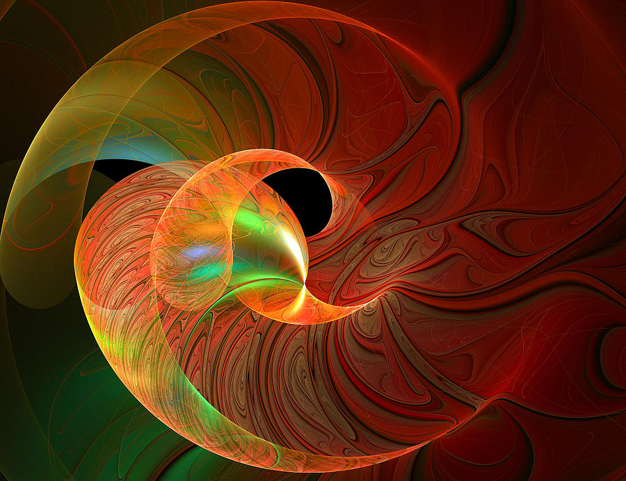 Delicate Spiral Digital Art by Amanda Moore