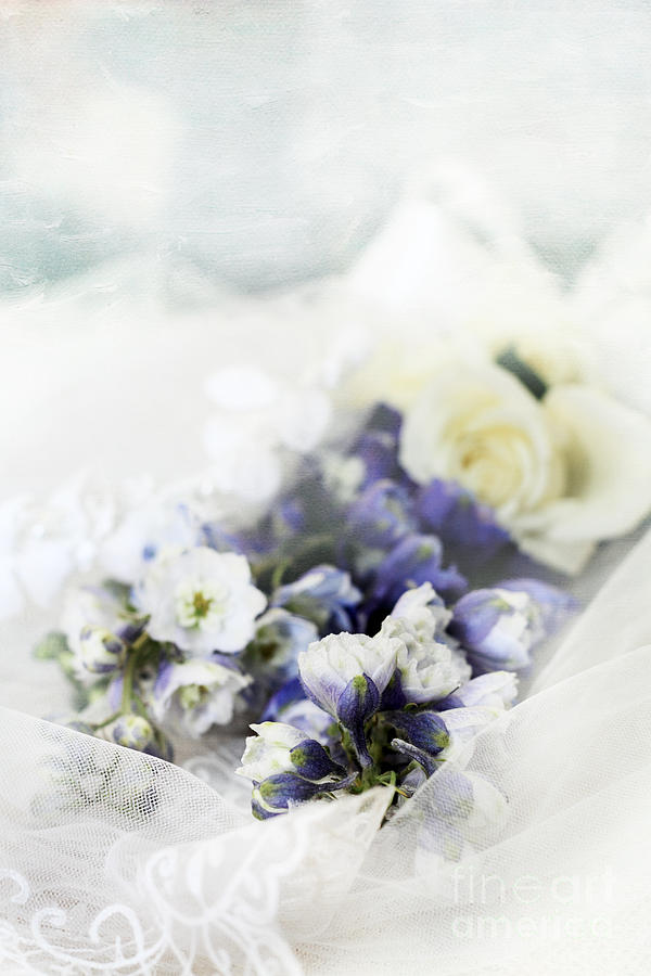 Delphiniums and Lace Photograph by Stephanie Frey