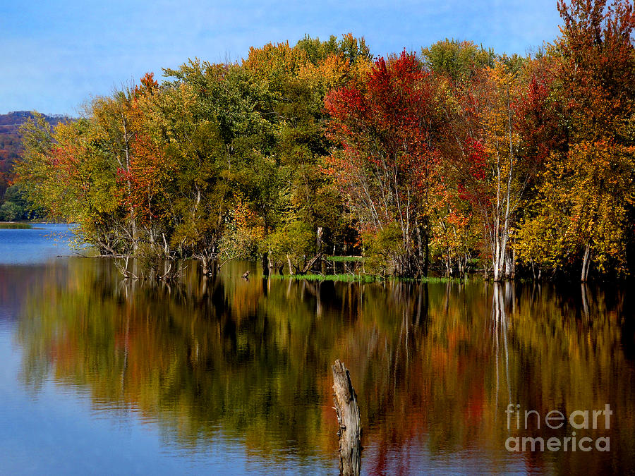 Delta Lake Reflections Photograph by Diane E Berry
