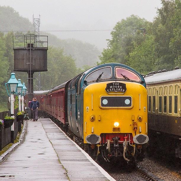 Train Photograph - Deltic Loco 55022 royal Scots Grey by Dave Lee