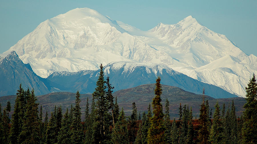 Denali - Mount McKinley Photograph by Michael Kitahara - Fine Art America