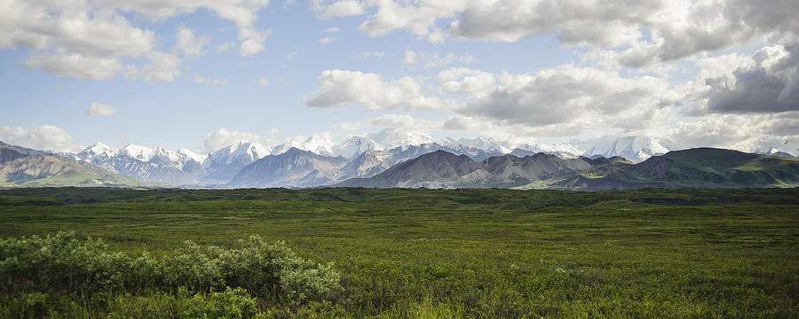 Mountain Photograph - Denali Range by Jen Morrison