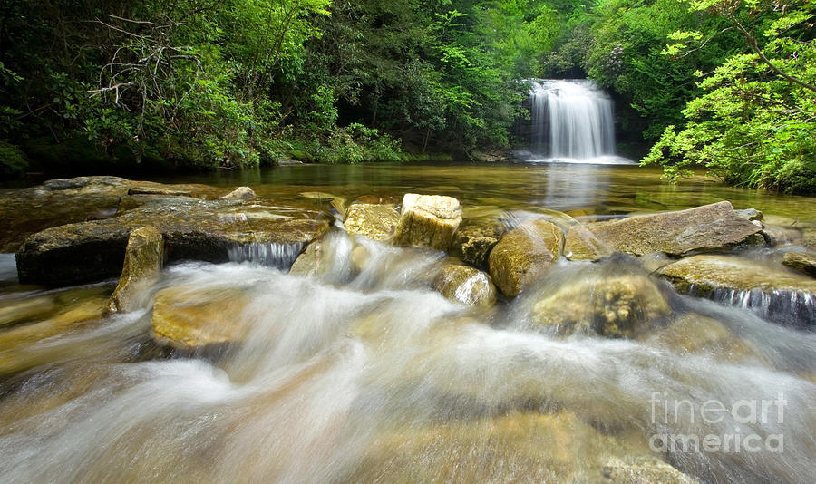 Jungle Photograph - Dense Forest Waterfall by Matt Tilghman