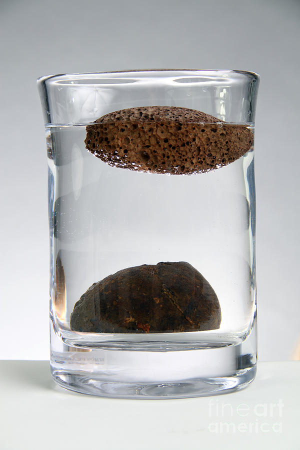 Density Of Pumice Photograph by Photo Researchers, Inc.