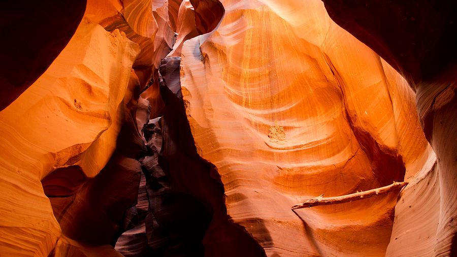 Depths of the Canyon Photograph by Adam Pender