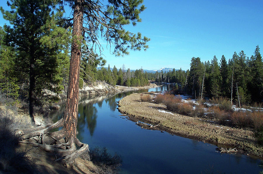 Deschutes River by Bonnie Bruno