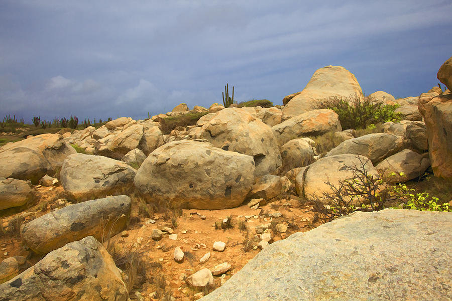 Desert Boulders of Aruba Photograph by David Letts