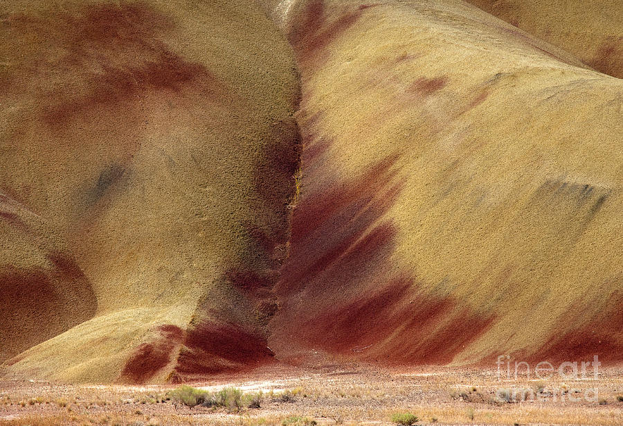 Desert Brushstrokes Photograph by Michael Dawson