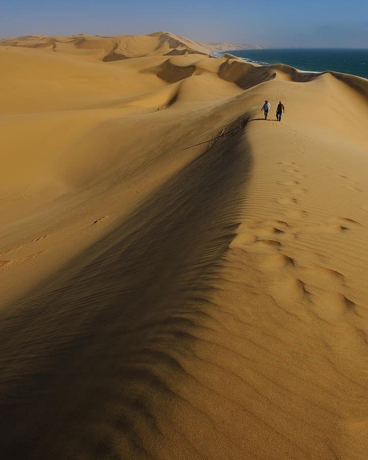Desert Coast Photograph by Tony Beck