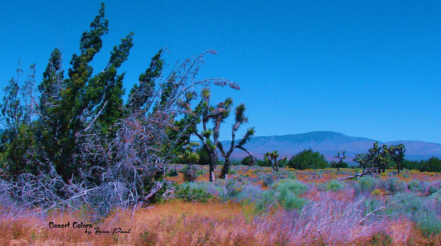 Desert Digital Art - Desert Colors by Jean Paul LeBlanc