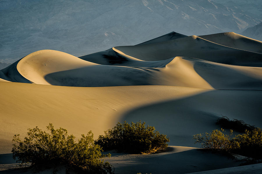 Desert Curves Photograph by Charlie Choc - Fine Art America