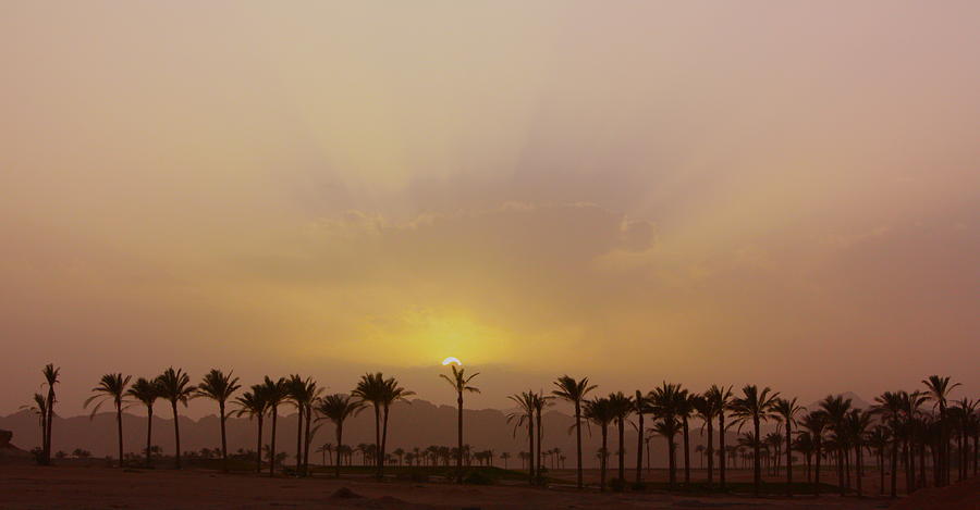 Desert Dusk Photograph by Yvonne Ayoub