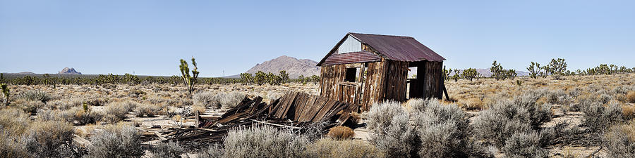 Desert Photograph - Desert Dwelling by Kelley King