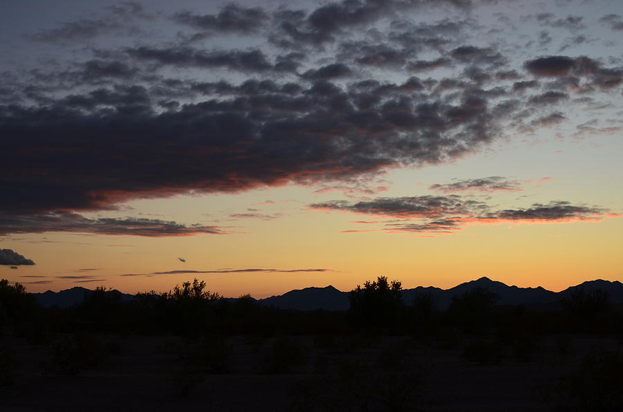 Desert evening Photograph by Linda Larson