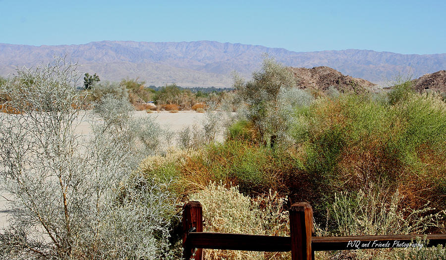Desert Fenced In Photograph by PJQandFriends Photography