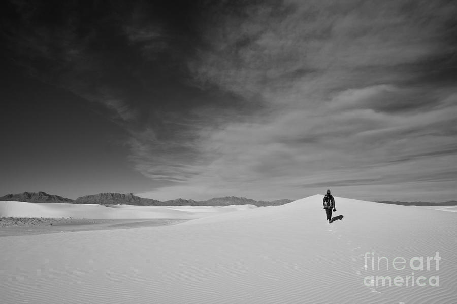 Desert loneliness Photograph by Olivier Steiner