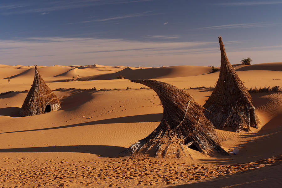 Desert luxury Photograph by Ivan Slosar
