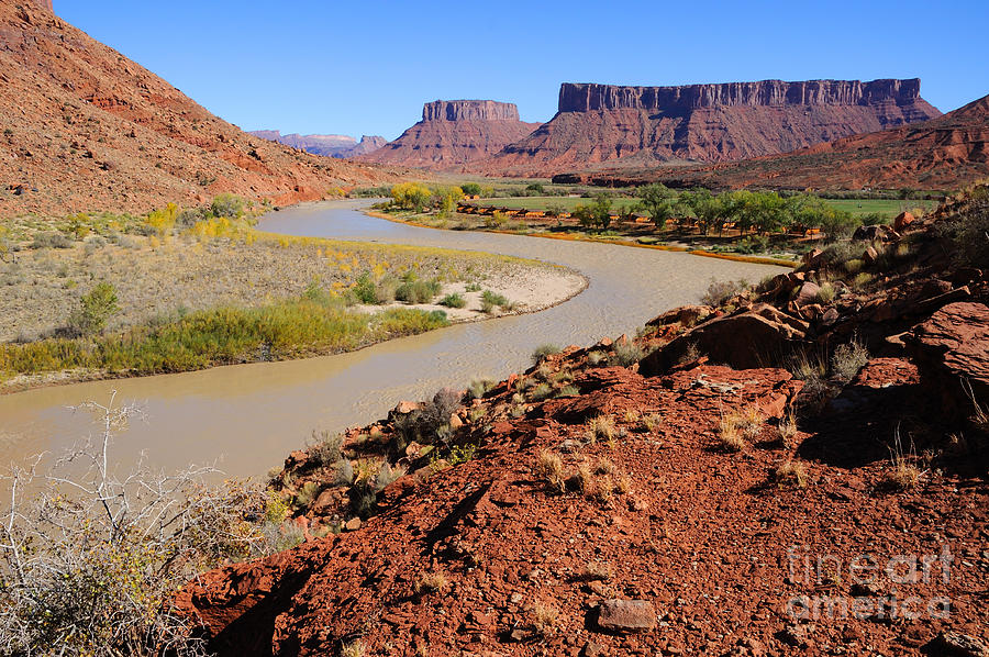 Desert Meander of the Colorado River near Moab - Utah Photograph by Gary Whitton