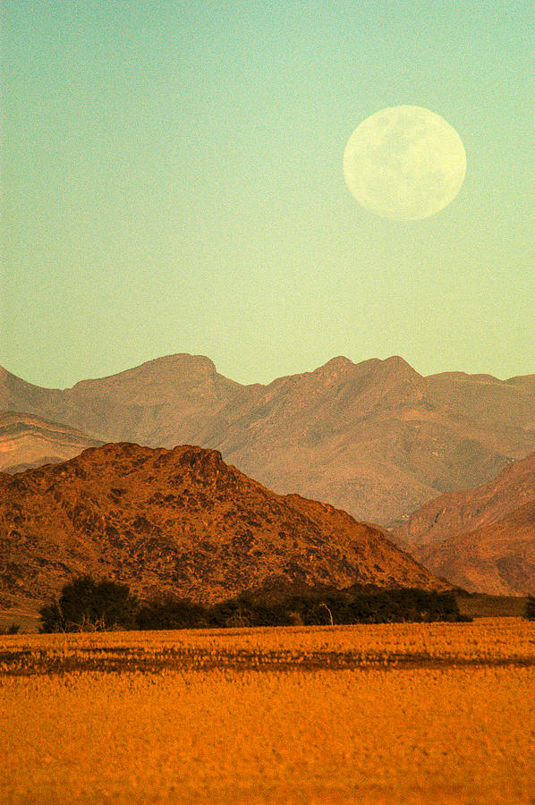 Desert moonrise Photograph by Alistair Lyne