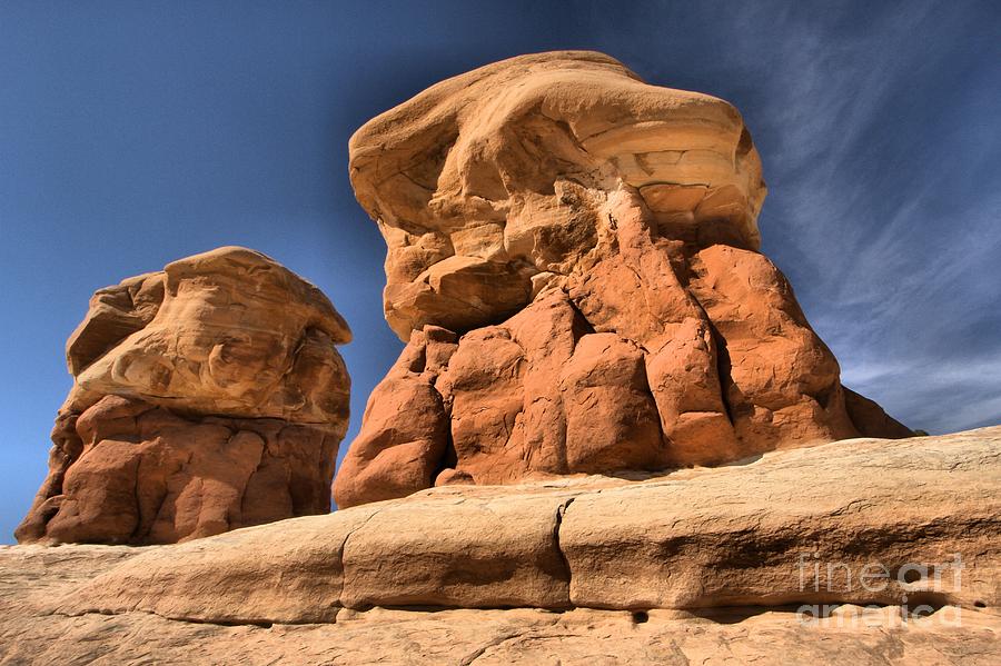 Desert Mushrooms Photograph by Adam Jewell