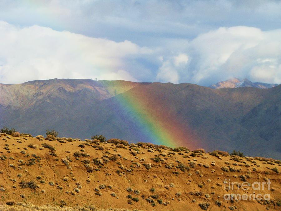 Desert Rainbow Photograph by Michele Penner