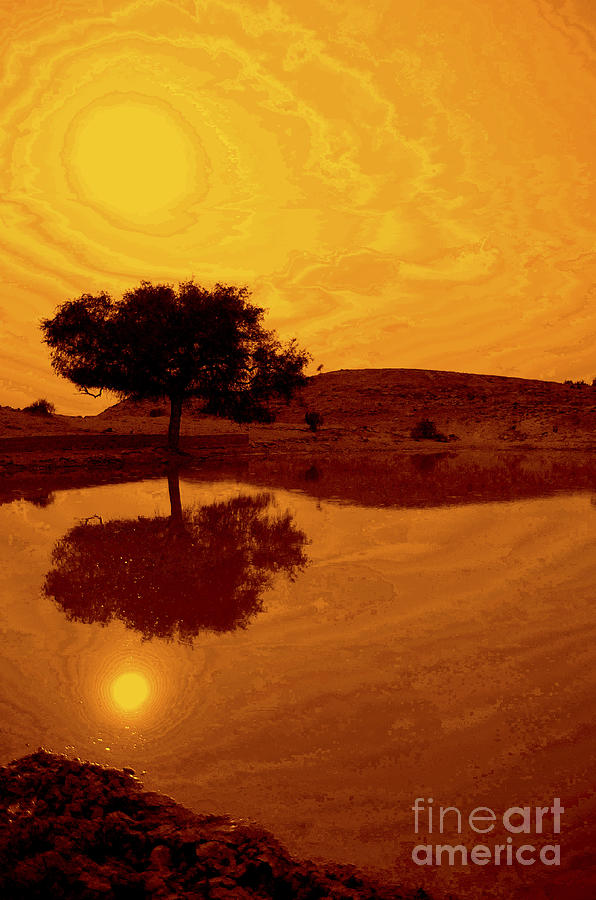 Desert Reflections Photograph by Valerie Rosen