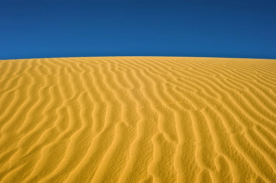 Desert Sand Dune Photograph by Photostock-israel