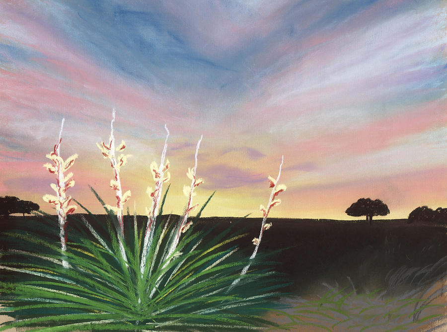 Sunset Painting - Desert Sky by Jackie Novak