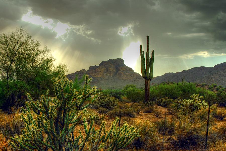 Desert Sun Rays Photograph by Tam Ryan