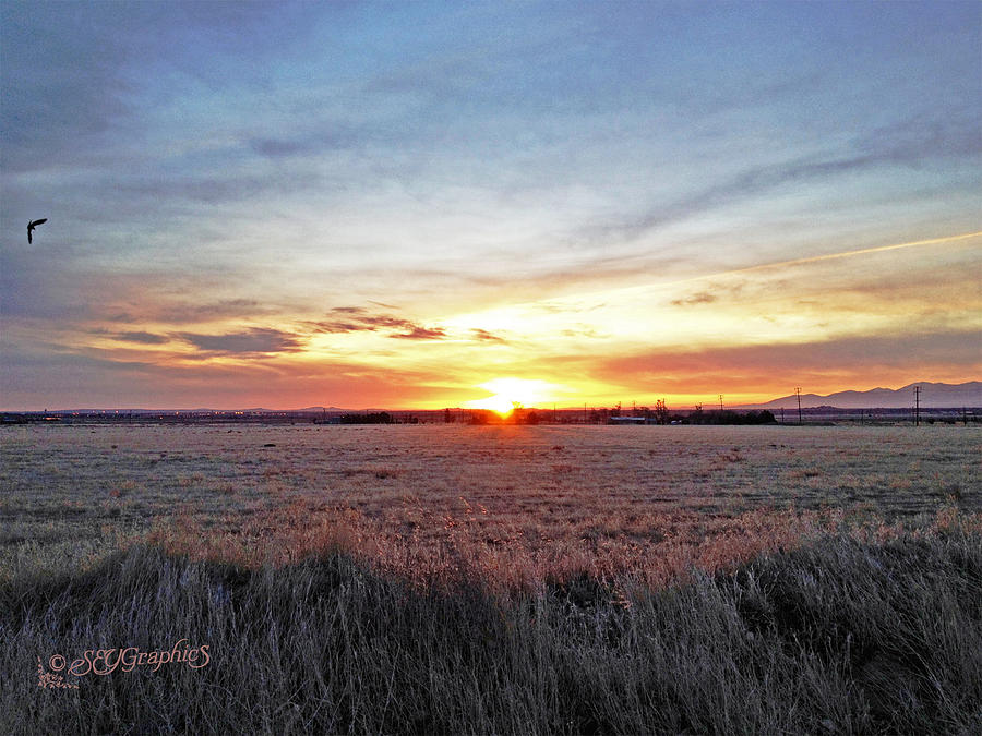 Desert Sunrise Photograph by Sharon Yocum - Fine Art America