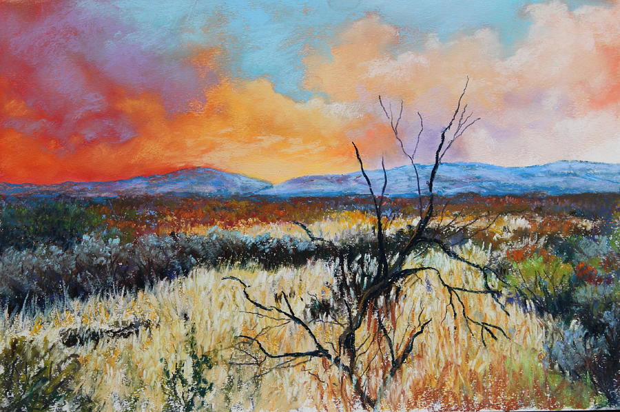 Desert Sunset 2 Painting by M Diane Bonaparte
