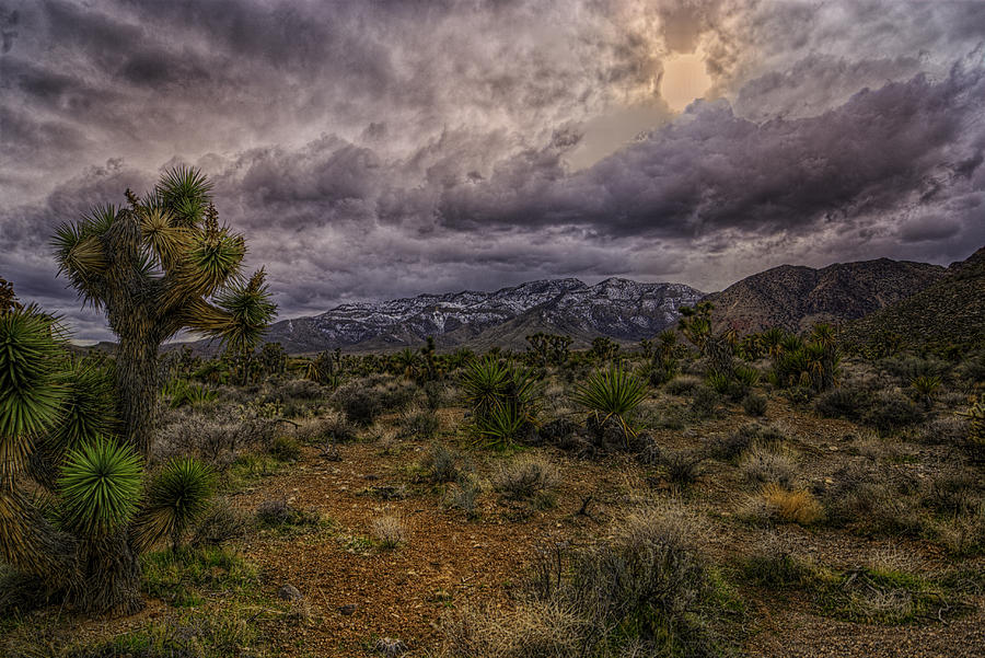 Desert Sunset Photograph by Stephen Campbell
