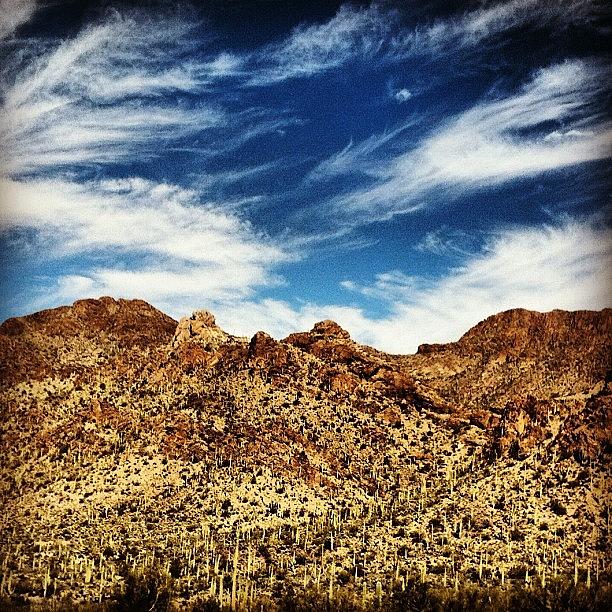 Tucson Photograph - #desert #tucson #arizona #roadtrip by Leah Messina