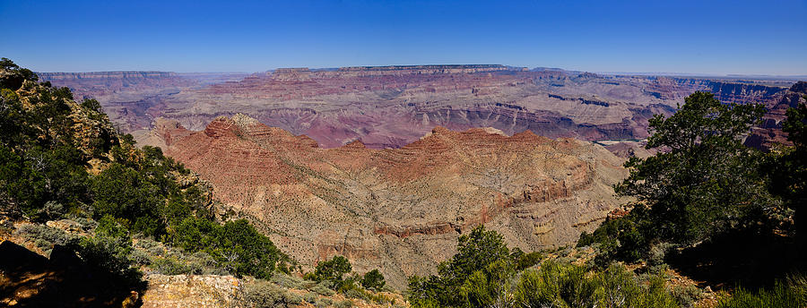 Desert View Panorama Photograph by Greg Norrell