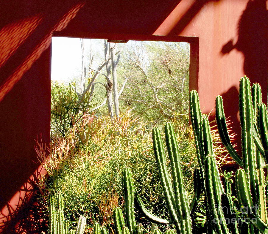 Desert Window Photograph by Marilyn Smith