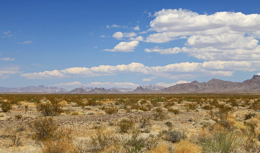 Desertscape Photograph by Gary Kaylor
