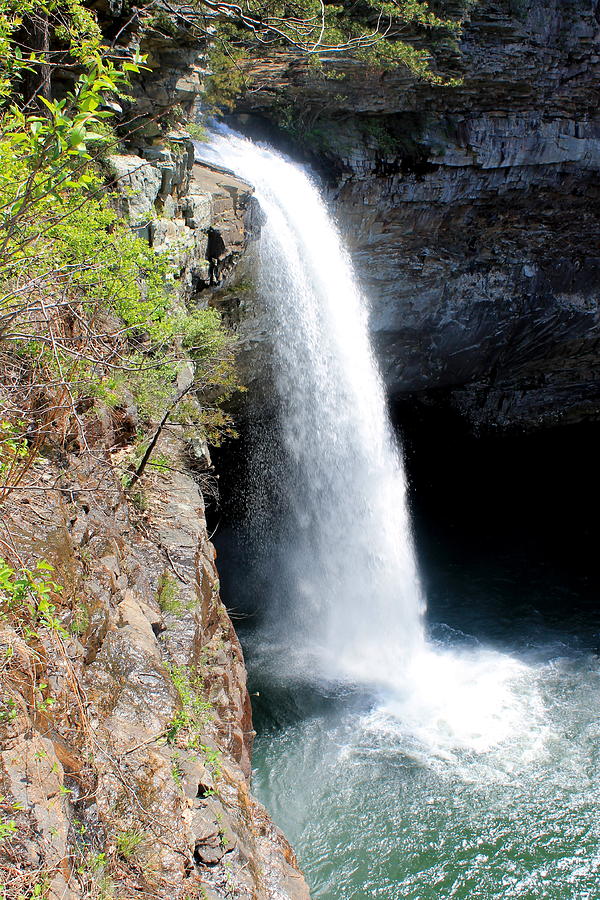 Desoto Falls Photograph by Carrie Cortes - Pixels