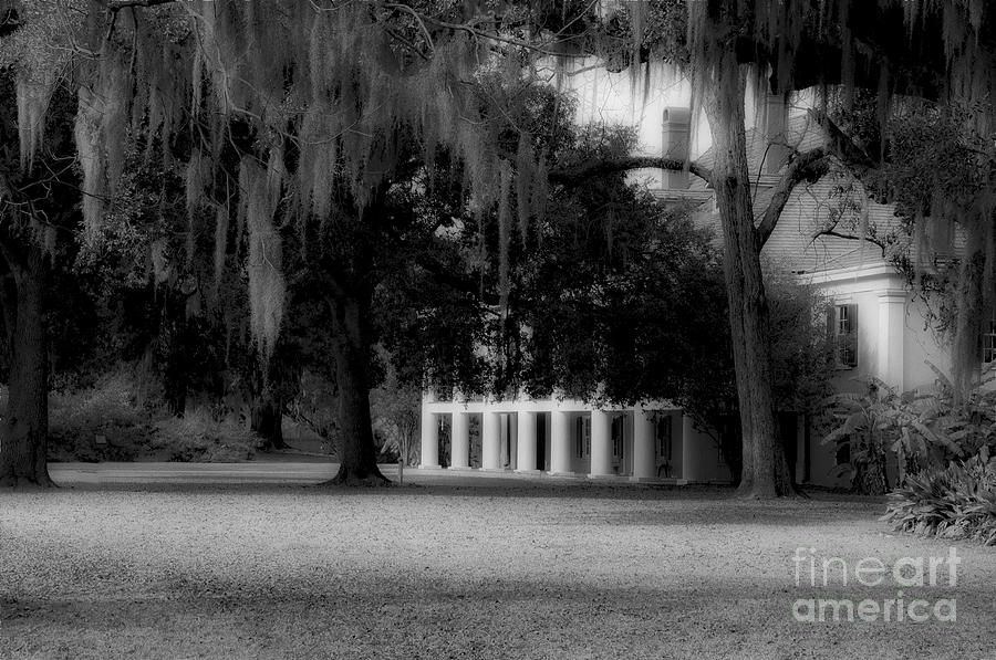 Destrehan Plantation in black and white Photograph by Kathleen K Parker