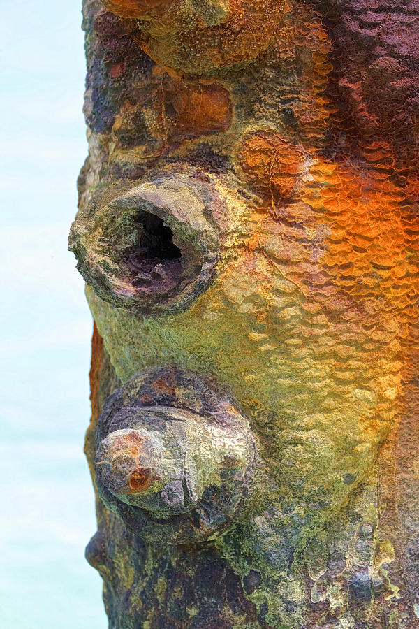 Detail of a Rusted Dock Pier  Photograph by David Letts