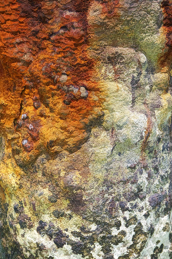 Detail of a Rusted Dock Pier II Photograph by David Letts