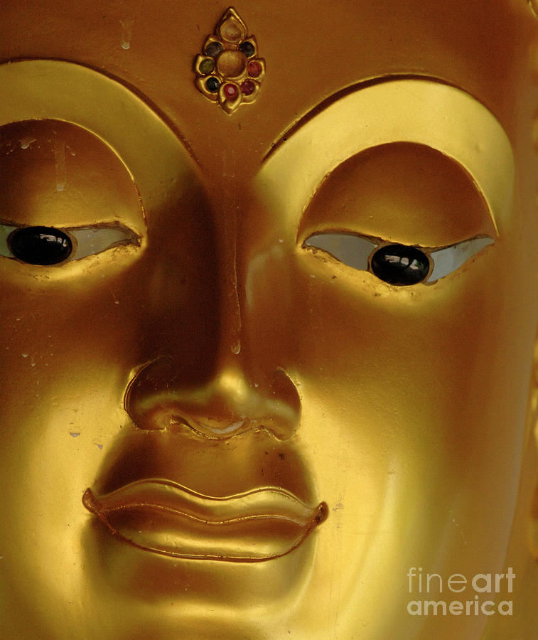Detail Of Buddha  Photograph by Bob Christopher